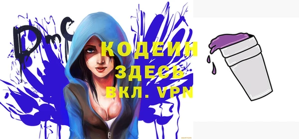 соль ск Дмитров
