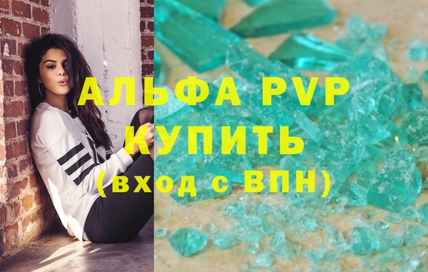 стаф Гусев