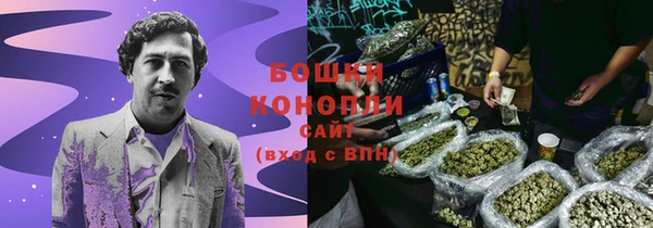 соль ск Дмитров