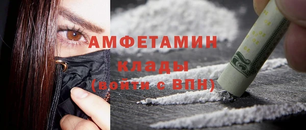 соль ск Дмитров