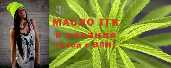 соль ск Дмитров