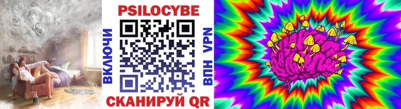 мега зеркало  Свободный  Псилоцибиновые грибы мухоморы 