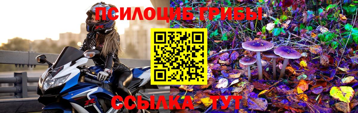 что такое   Галлюциногенные грибы Cubensis  Вход с VPN  Свободный 