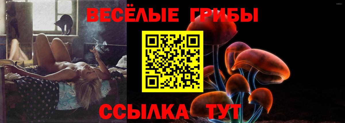 Псилоцибиновые грибы Psilocybine cubensis Свободный